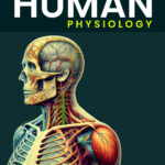 Human Physiology