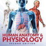 Human Anatomy & Physiology – 2nd Edition