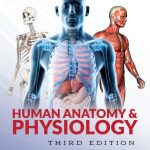 Human Anatomy & Physiology – 3rd Edition